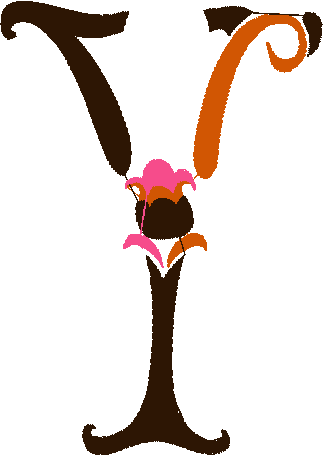 Y