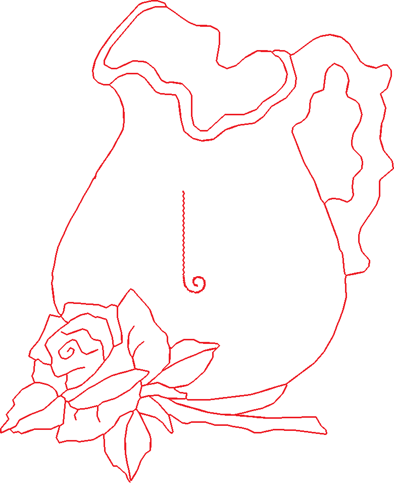 Rpi