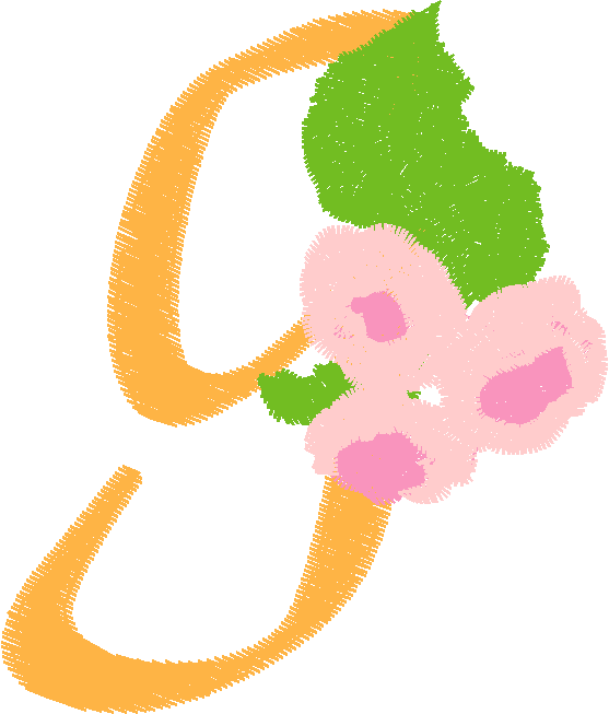 Rag