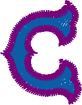 C1