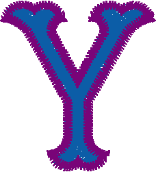 Y