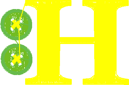 55533