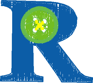 55543