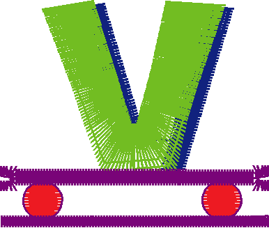 V