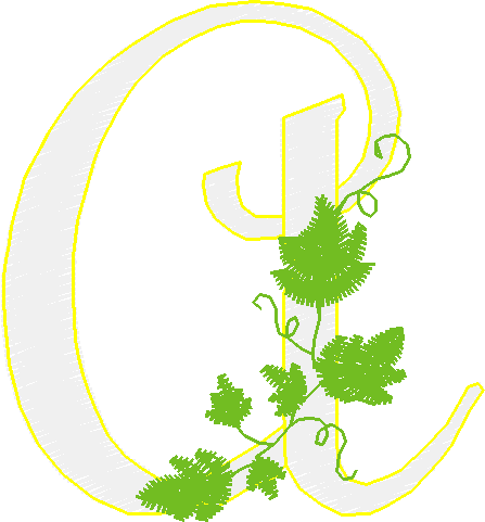 Alphabet   Vine (1)