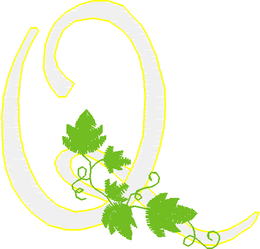 Alphabet   Vine (17)