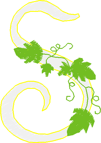 Alphabet   Vine (19)