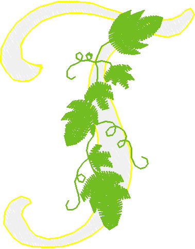 Alphabet   Vine (20)