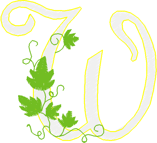Alphabet   Vine (23)