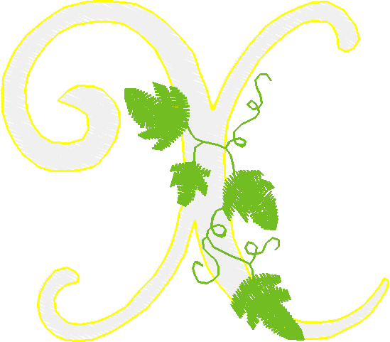 Alphabet   Vine (24)
