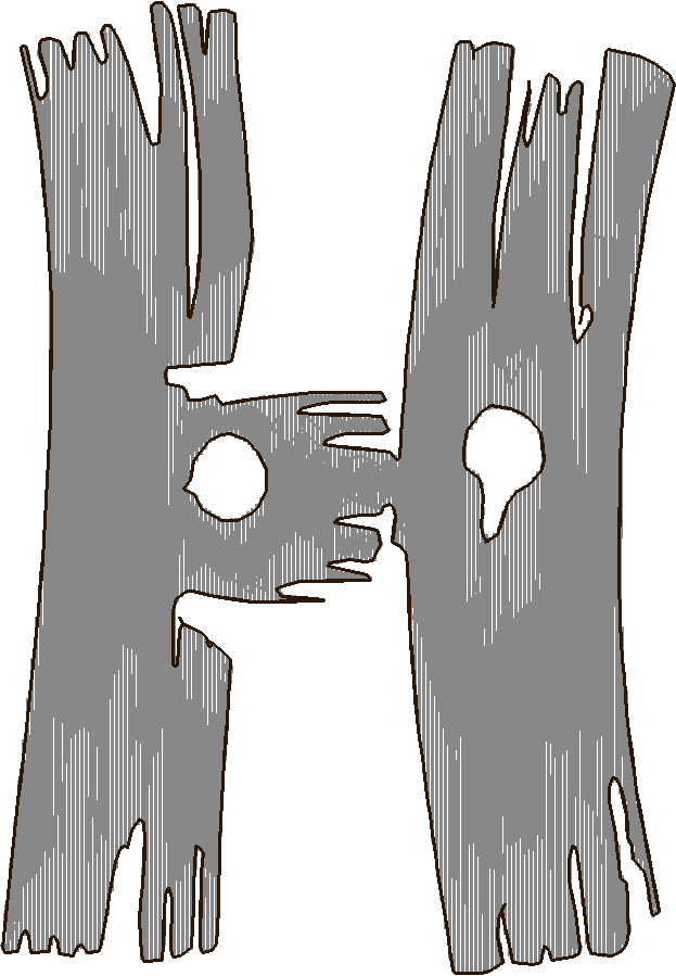 H