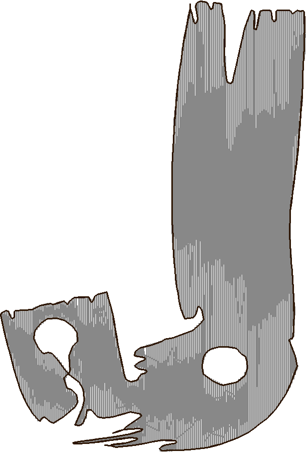 J