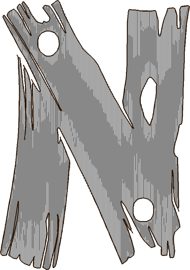 N