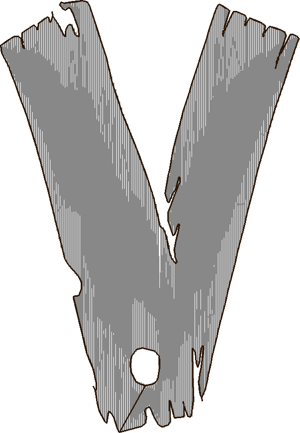 V