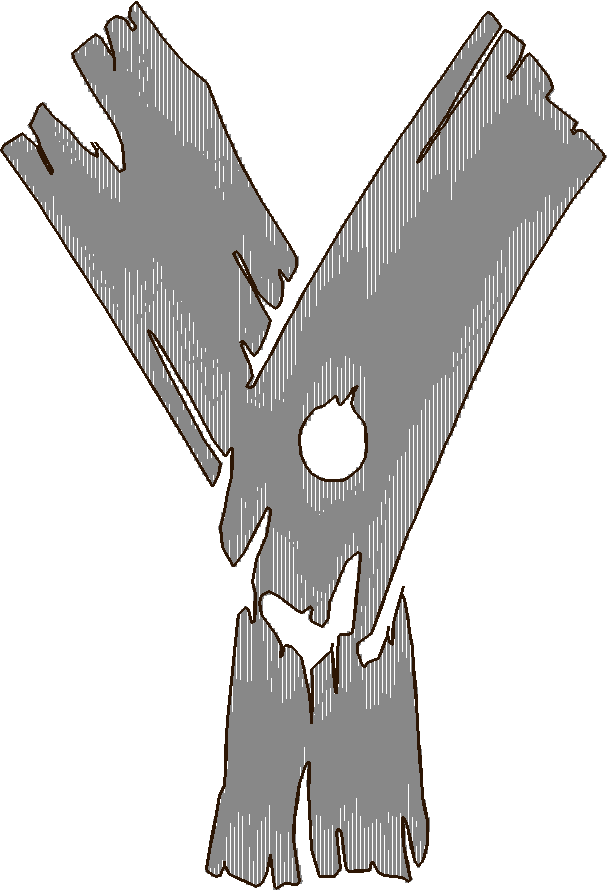 Y