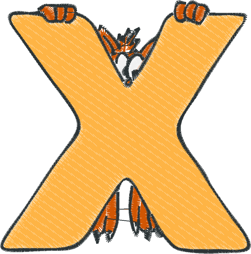 X