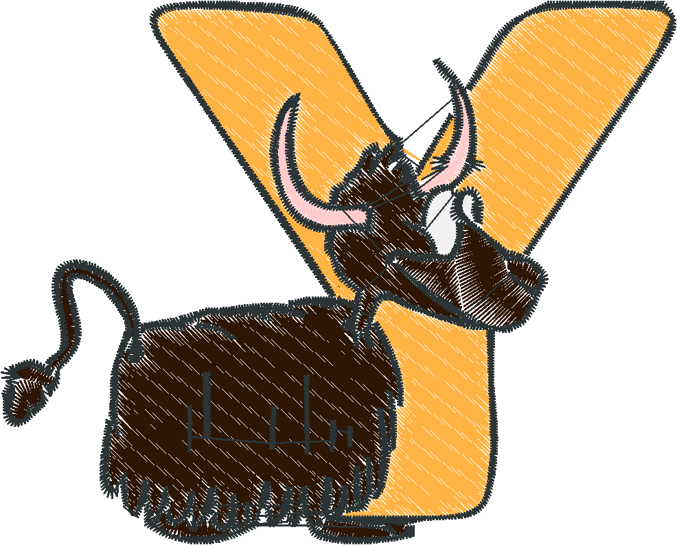 Y
