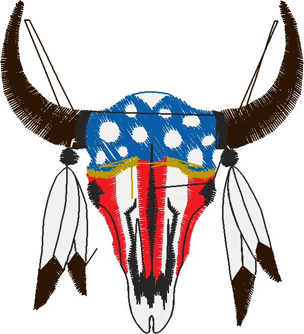 America 10   American Indians  (15)