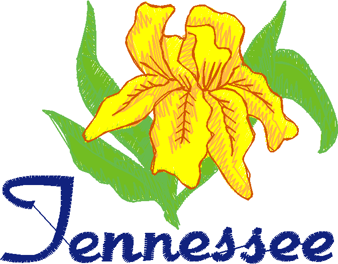 America 12   State Flowers  (40)
