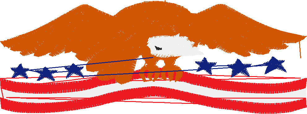 America 3  (10)