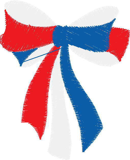 America 4  (16)