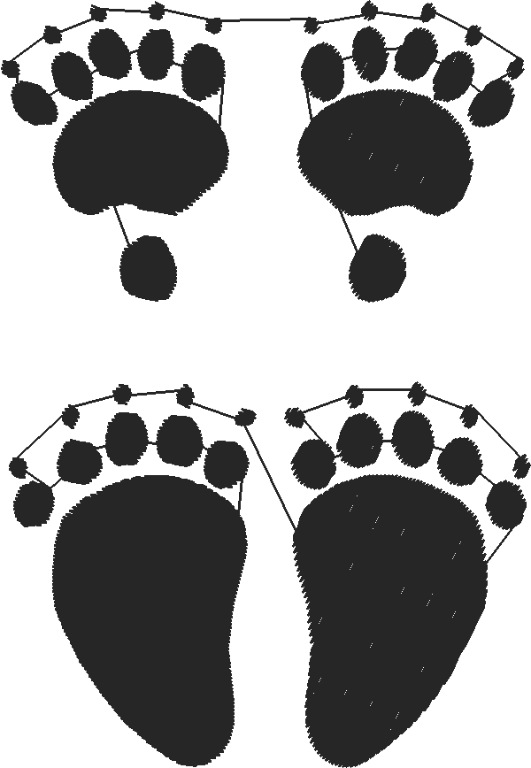 Animal Prints