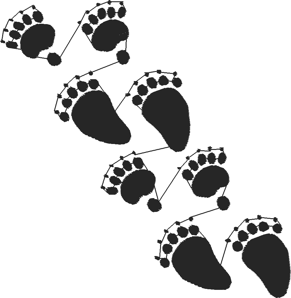 Bearwalking
