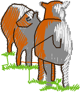 Animals 10   Farm Yard 2  (2)