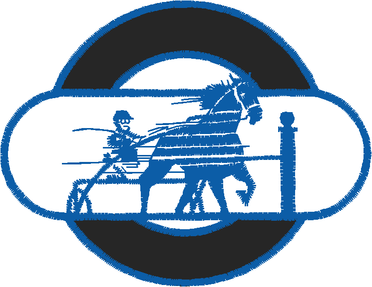 Animals 11   Horses  (11)