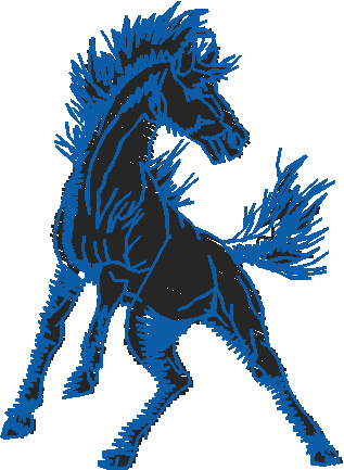 Animals 11   Horses  (14)