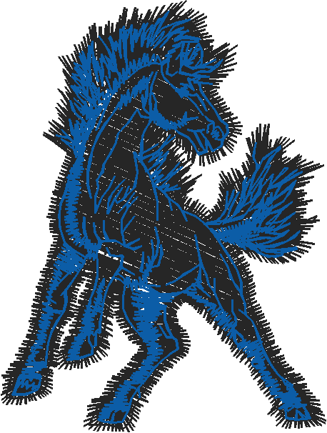 Animals 11   Horses  (16)