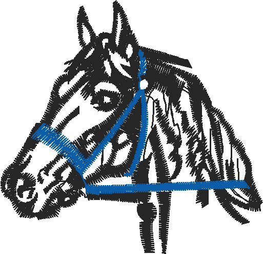 Animals 11   Horses  (19)