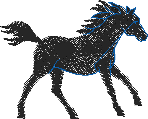 Animals 11   Horses  (24)
