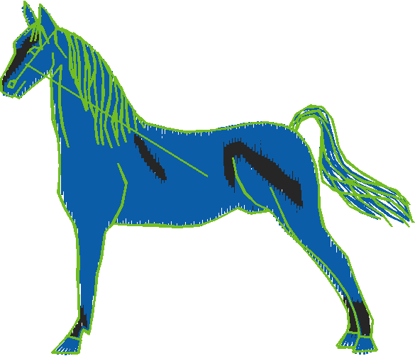 Animals 11   Horses  (40)
