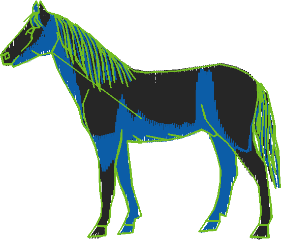 Animals 11   Horses  (42)