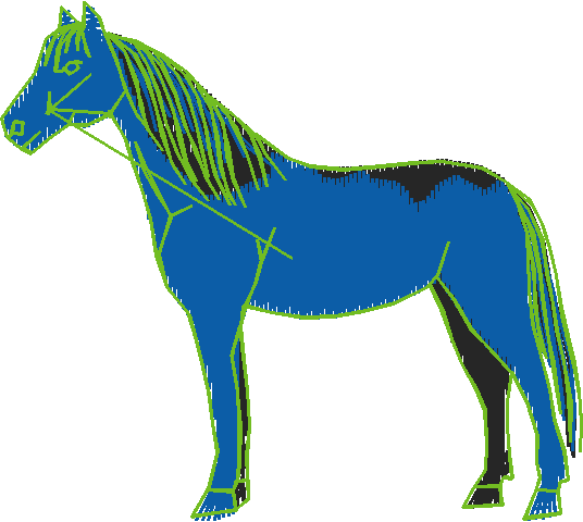 Animals 11   Horses  (43)