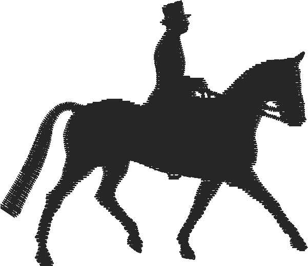 Animals 11   Horses  (52)