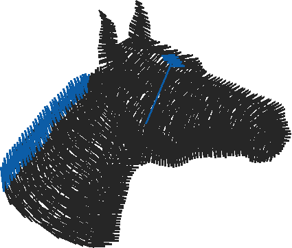 Animals 11   Horses  (57)