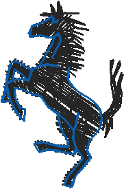 Animals 11   Horses  (58)
