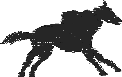 Animals 11   Horses  (69)