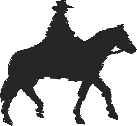 Animals 11   Horses  (71)