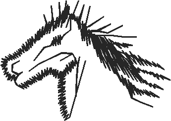 Animals 11   Horses  (76)