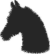 Animals 11   Horses  (78)
