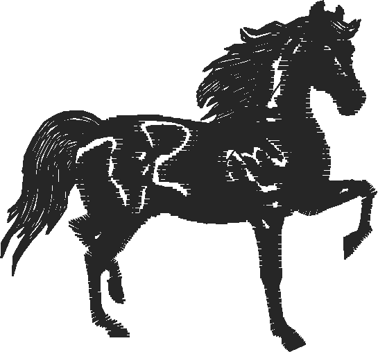 Animals 11   Horses  (8)