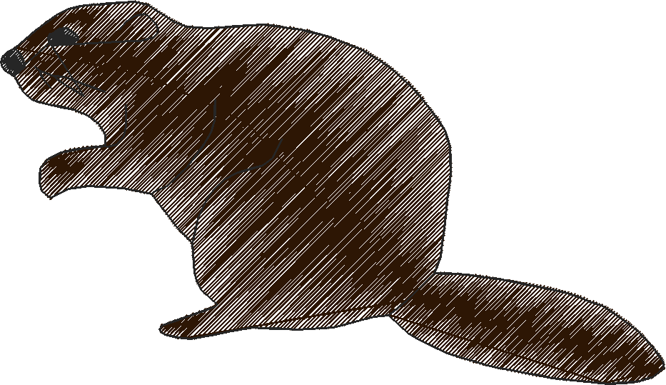 Animals 15   Kids 4  (15)