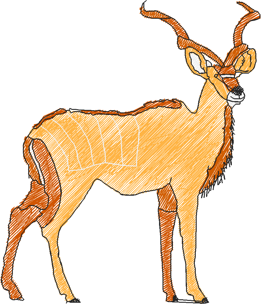 Animals 17   Kids 6  (19)