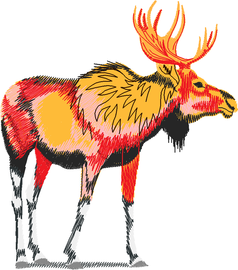 Animals 21   Wildlife 01  (11)