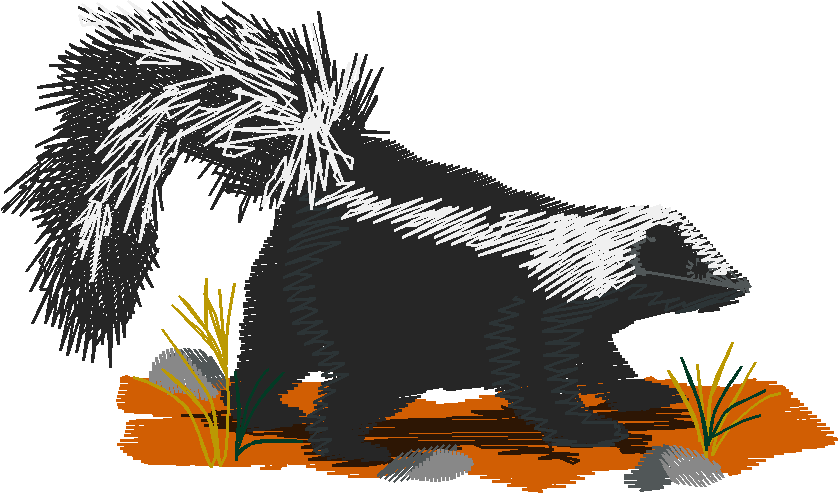 Animals 21   Wildlife 01  (16)