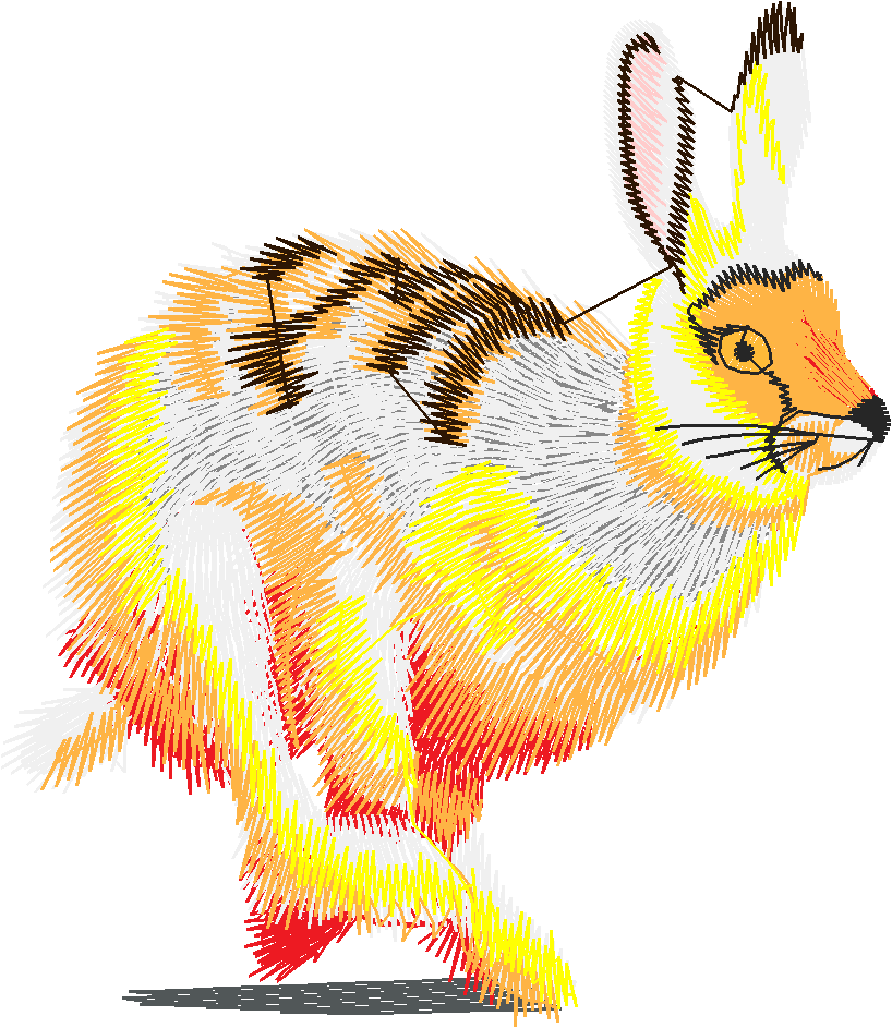 Animals 21   Wildlife 01  (17)