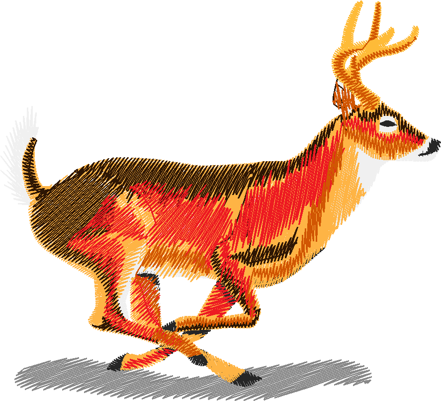 Animals 21   Wildlife 01  (19)